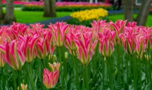 Kur keliauti balandžio mėnesį 10