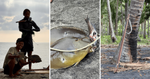 Planuoji kelionę į Indoneziją?