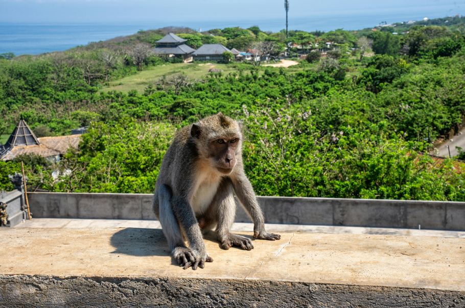 Kelionė į Balį: įspūdžiai iš Uluwatu, Kutos ir Ubudo