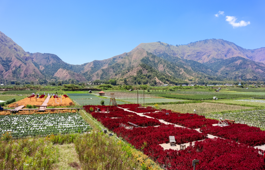 Planuoji kelionę į Indoneziją?