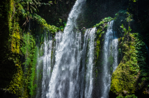Planuoji kelionę į Indoneziją?